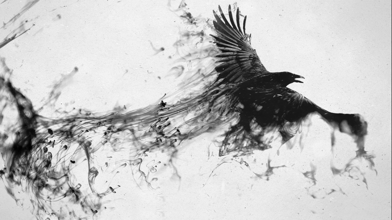 Blackbird, Fly Image