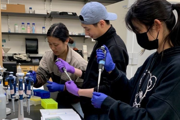 three people work in a lab